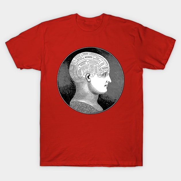 Funny Meme-Style Vintage Phrenology Head Illustration - Dark Humor T-Shirt by DankFutura